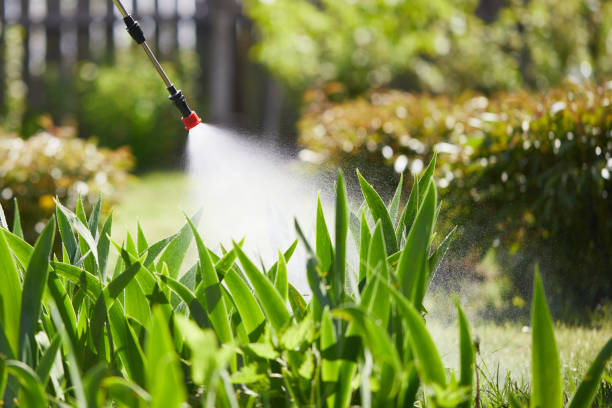 24/7 Emergency Mosquito Control experts in Eastern Goleta Valley, CA